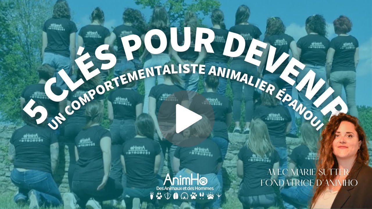 5 cl&eacute;s pour devenir un comportementaliste animalier &eacute;panoui
