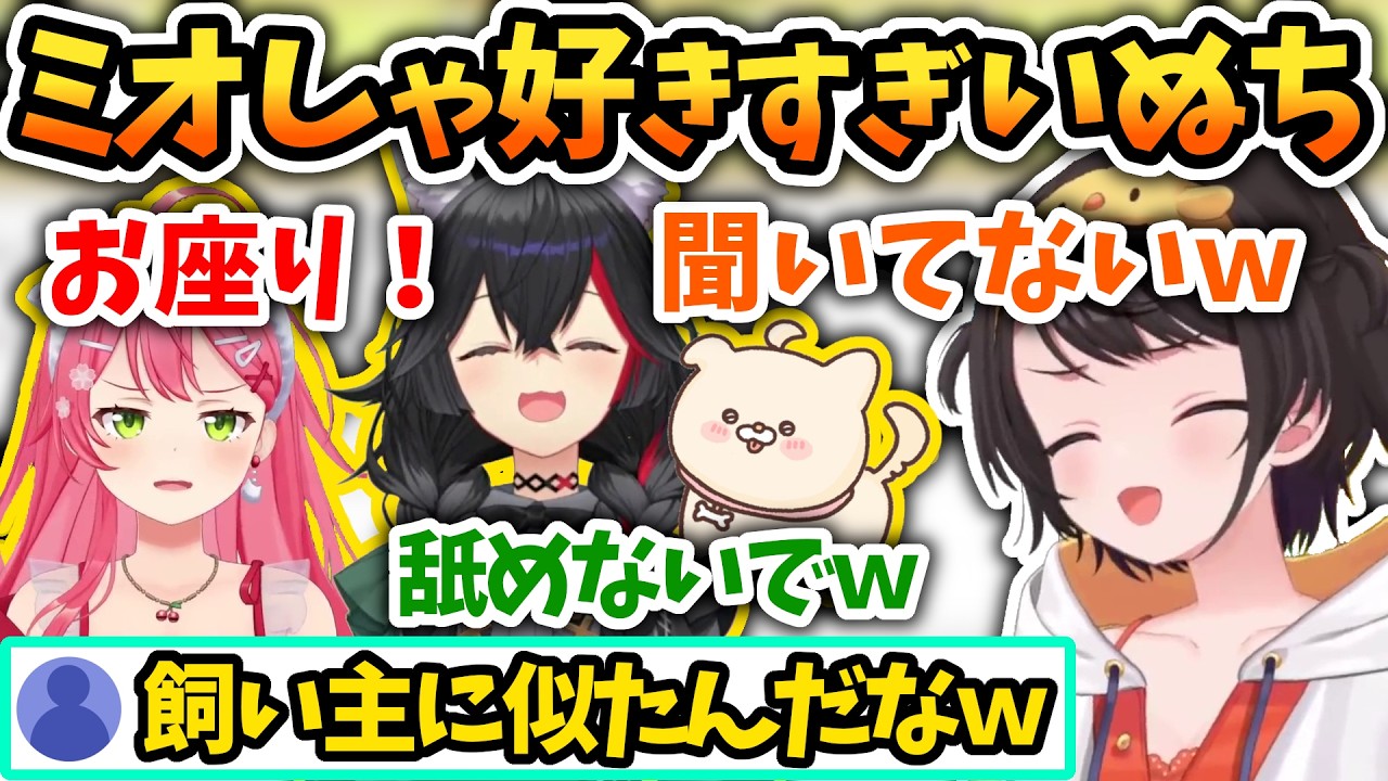 ミオしゃに何かを感じてるいぬちと満更でもないミオしゃ【さくらみこ/大空スバル/大神ミオ/ホロライブ切り抜き】