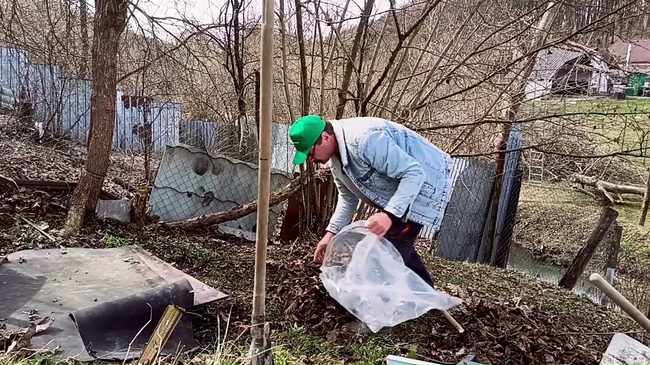 Reînființez o grădină veche.