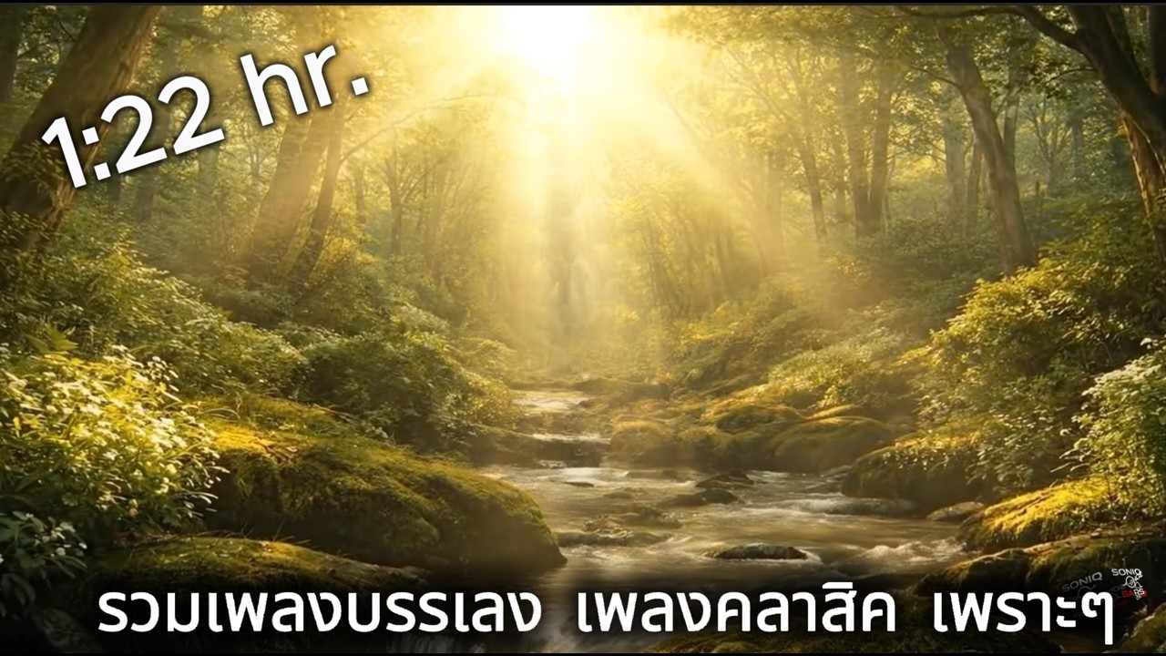 ฟังเพลงผ่อนคลาย สร้างสมาธิ ฟังยาวๆ 1:22ชม.ฟังในร้านกาแฟ ฟังตอนทำงาน SONIQ BARS [OFFICIAL]