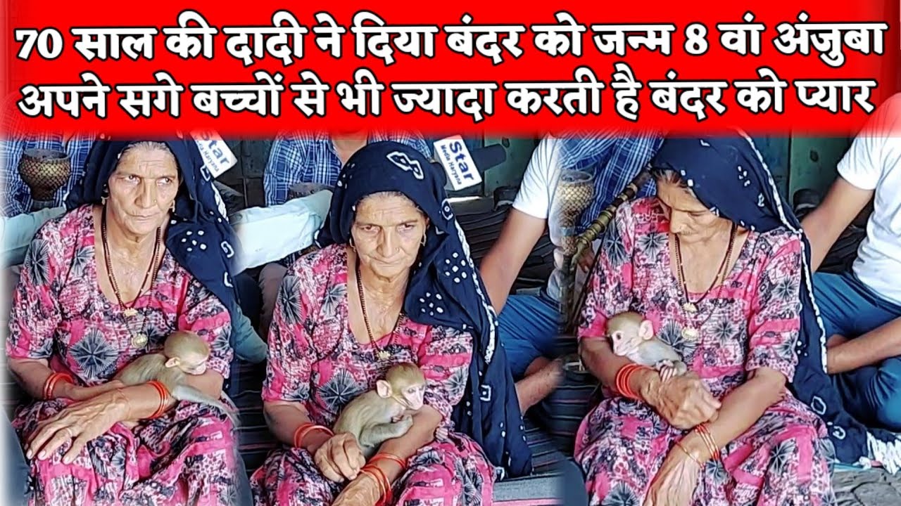 हरियाणा में दादी ने दिया बंदर को जन्म|सगे बच्चों से ज्यादा करती है बंदर को प्यार