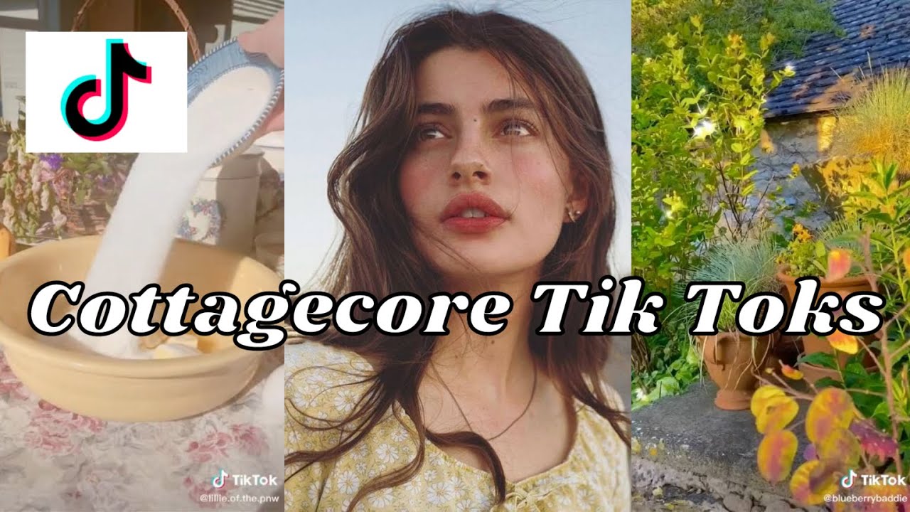 🍯 Cottagecore Tik Toks | Cottagecore animal crossing | Cottagecore aesthetic pt1!! 🍯