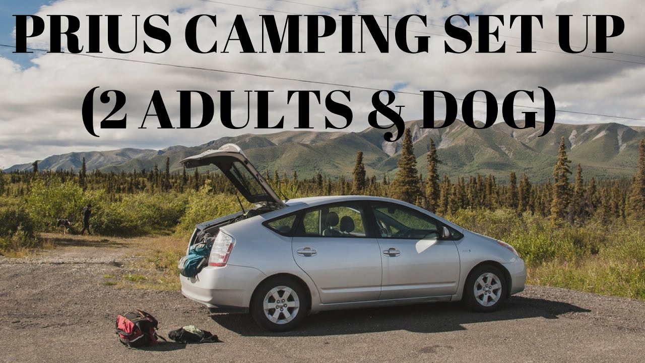 Prius Camping Set Up (2 Adults and a dog)