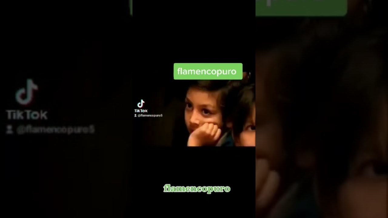 flamencopuro