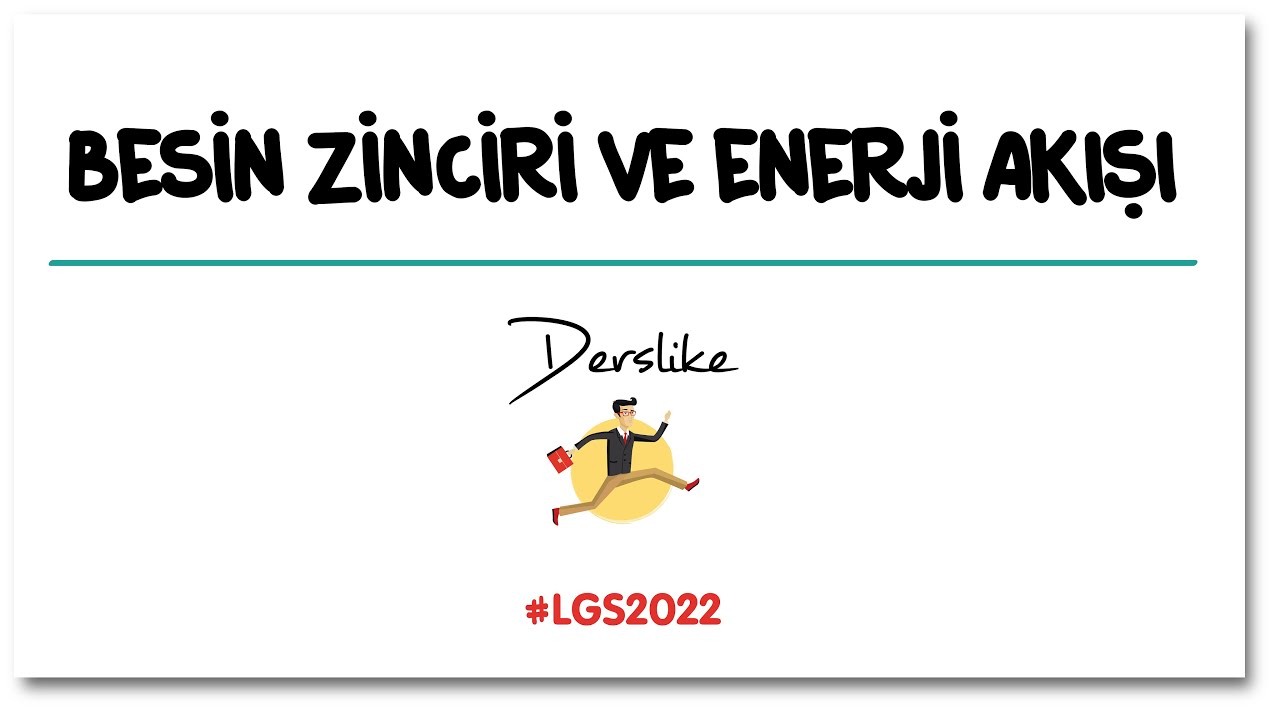 Besin Zinciri ve Enerji Akışı | LGS Fen Bilimleri