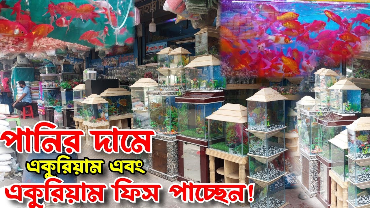 পানির দামে একুরিয়াম এবং অ্যাকুরিয়াম ফিস পাচ্ছেন ||বাংলাদেশের একুরিয়াম এর দাম।aquarium price
