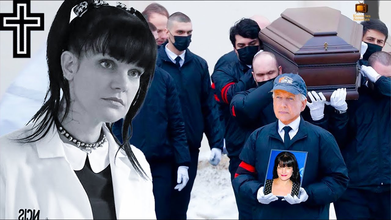 NCIS  (2003): Stars damals vs. heute: Karriere & Tragödie