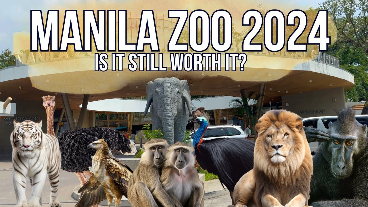 Is The New Manila Zoo 2024 Still Worth Visiting? | 4K Full Tour in the Philippines 🇵🇭