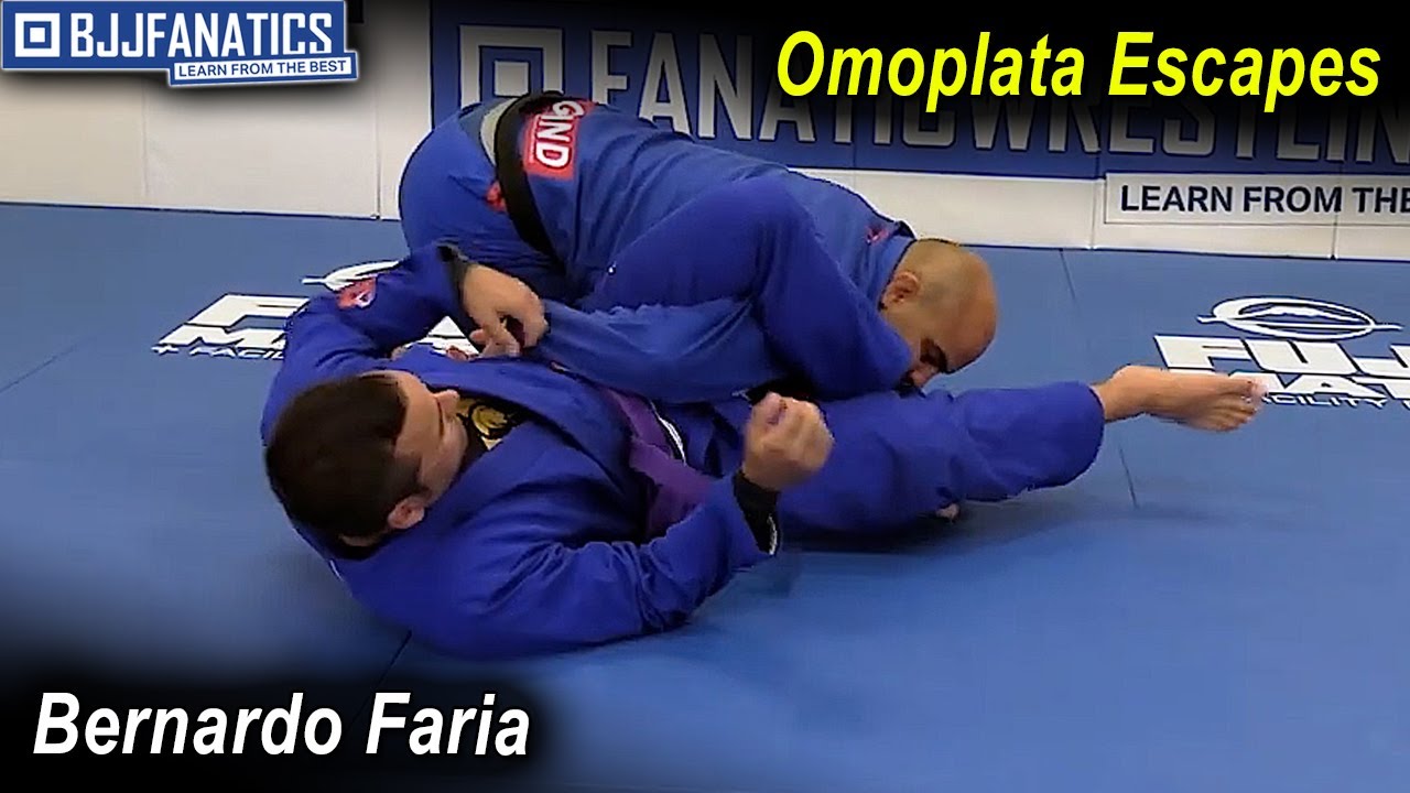 Побеги Омоплаты, Бернардо Фариа