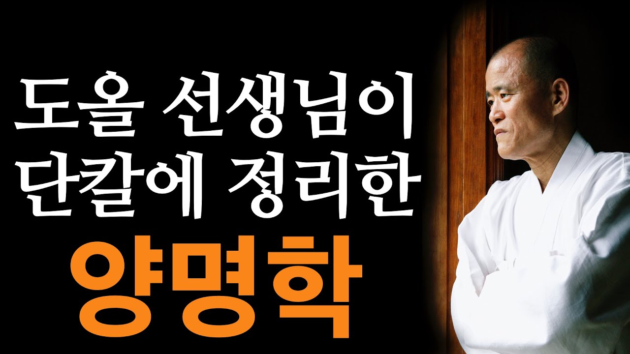 [북 리뷰 020] 도올 김용옥 선생님이 단칼에 정리한 양명학 - [한 젊은 유학자의 초상 서문]