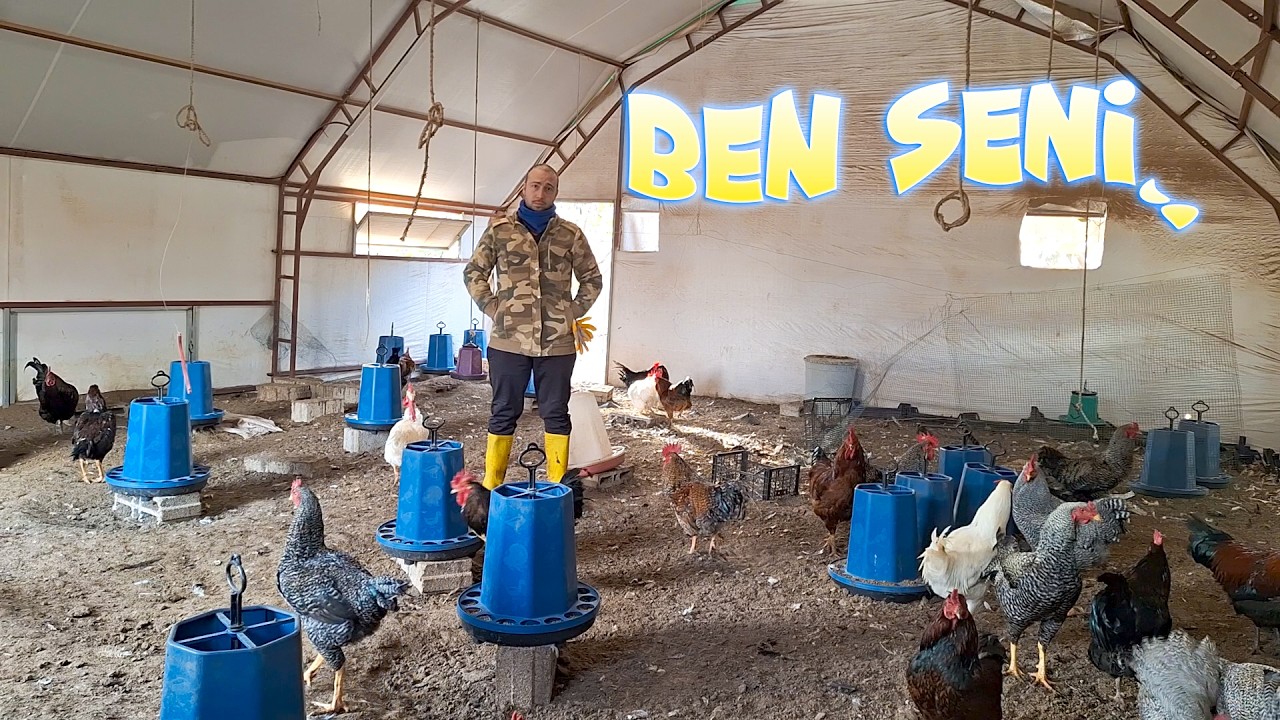 Ben Seni..