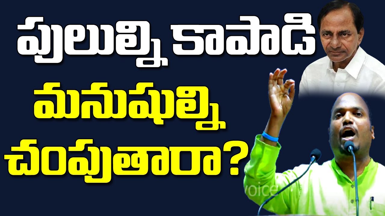 పులులను కాపాడి మనుషులను చంపుతారా? Tribes in Telangana | Podu lands | KCR | Pasunoori Ravinder |