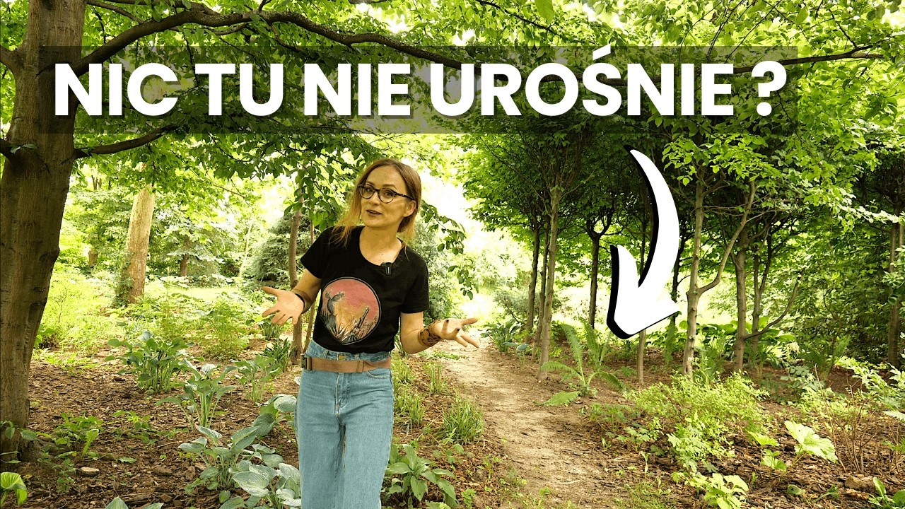 Jakie rośliny przetrwają pod starym drzewem? Co sadzić w cieniu pod drzewami