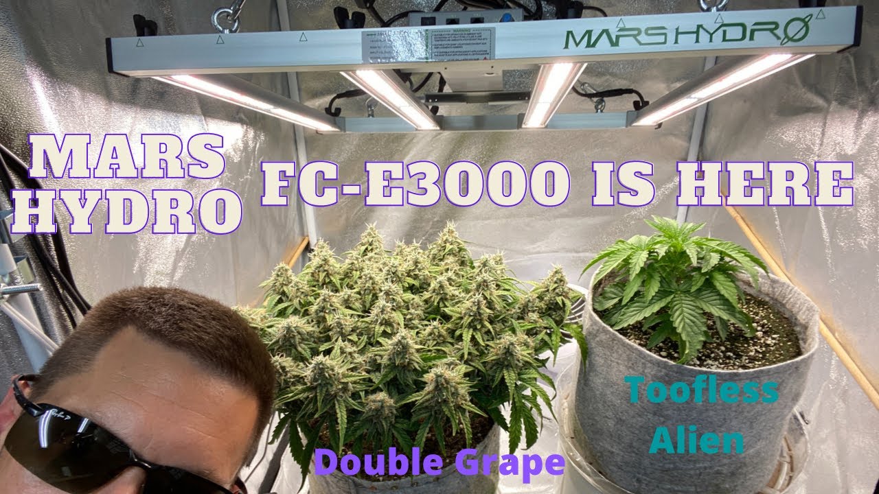 Upgrading the Grow Tent, Unboxing, Assembly, and Install of the Mars Hydro FC-E3000 LED Grow Lights