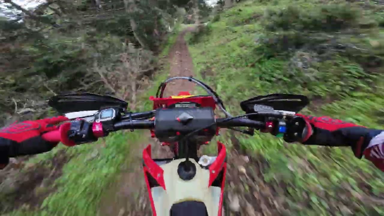 Spruce Tree Forest Enduro MR300i (part2)
