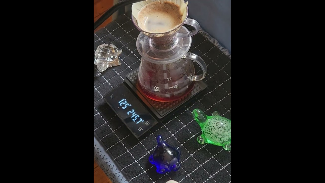 1 cup v60 1:19 200' water 3 pour 4.6 zp6, Ilse Kenya Kayu