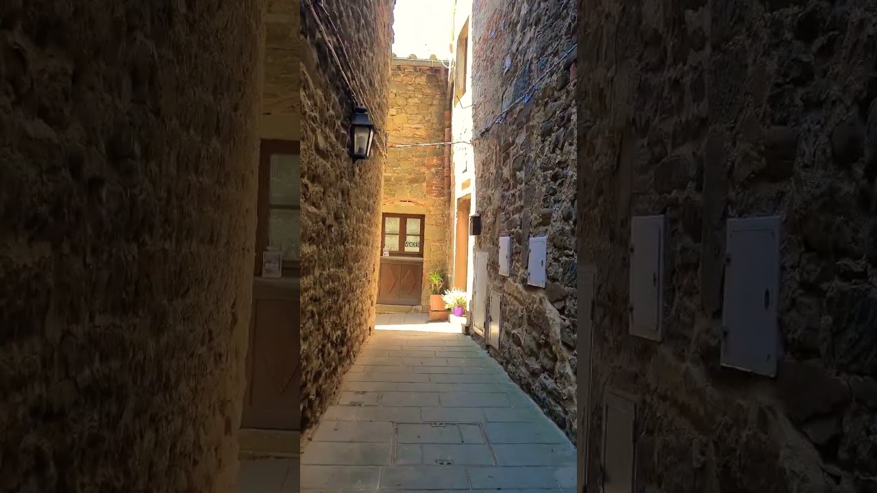 Castello di Volpaia Rada in Chianti #enoteca #vignes #oliodioliva #