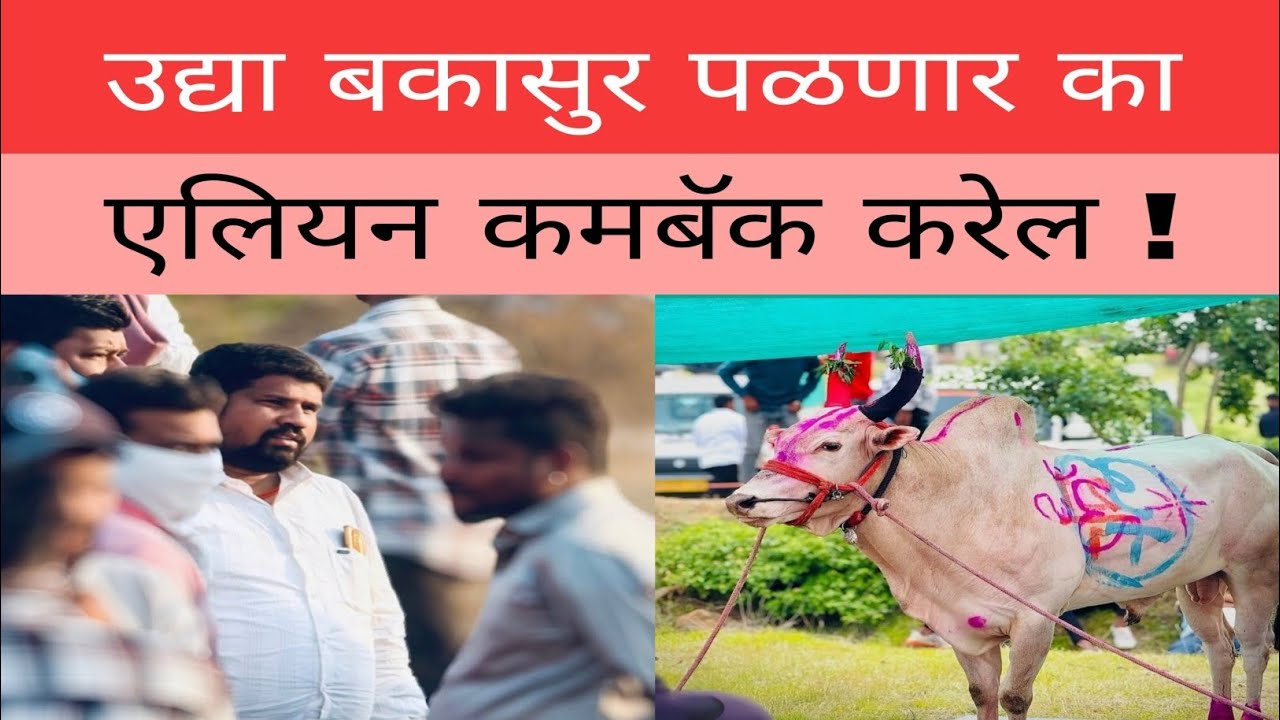 उद्या बकासुर महाराज वादळ साम्राज्य पळणार का ? एलियन ला दगड कुणी मारला ?