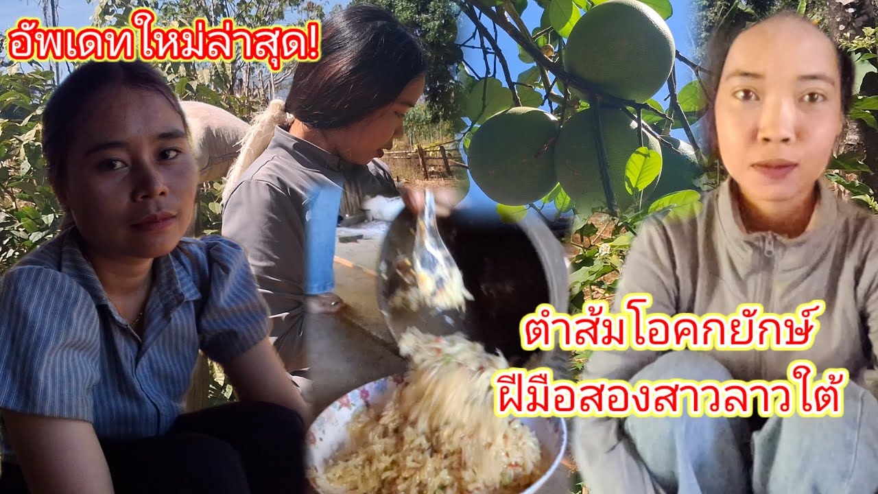 สองสไตล์สาวลาวใต้กับเมนูตำส้มโอคกยักษ์12 กุมภาพันธ์ ค.ศ. 2026