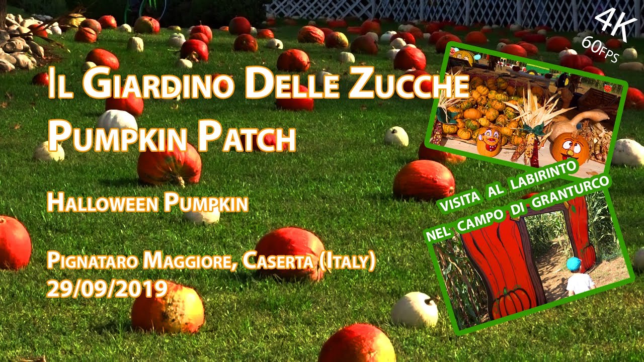 Giardino delle Zucche, 3 edizione 2019, Labirinto granturco, Pumpkin Patch, Pignataro Maggiore 4K