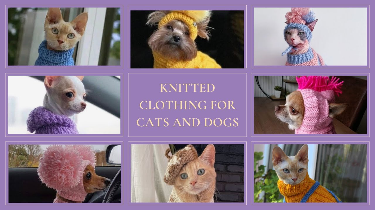 Adorable Knitted Pet Apparel: Fashion for Cats and Dogs!