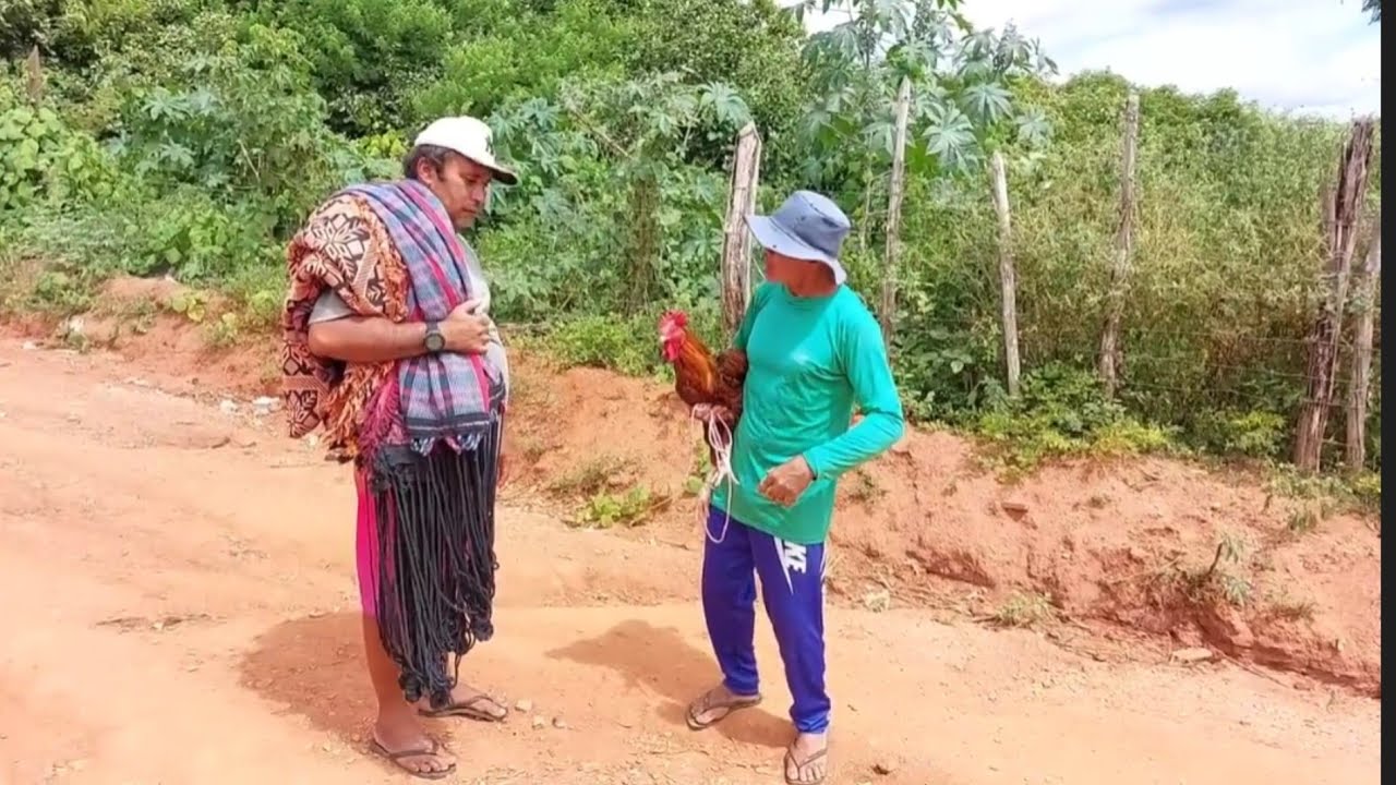 Bastidores !! Seu Mané trocou o  galo de Seu Antônio em uma rede  !!