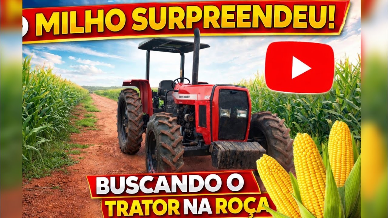 BUSQUEI O MF292 DEPOIS DE UMA SEMANA NA ROÇA!