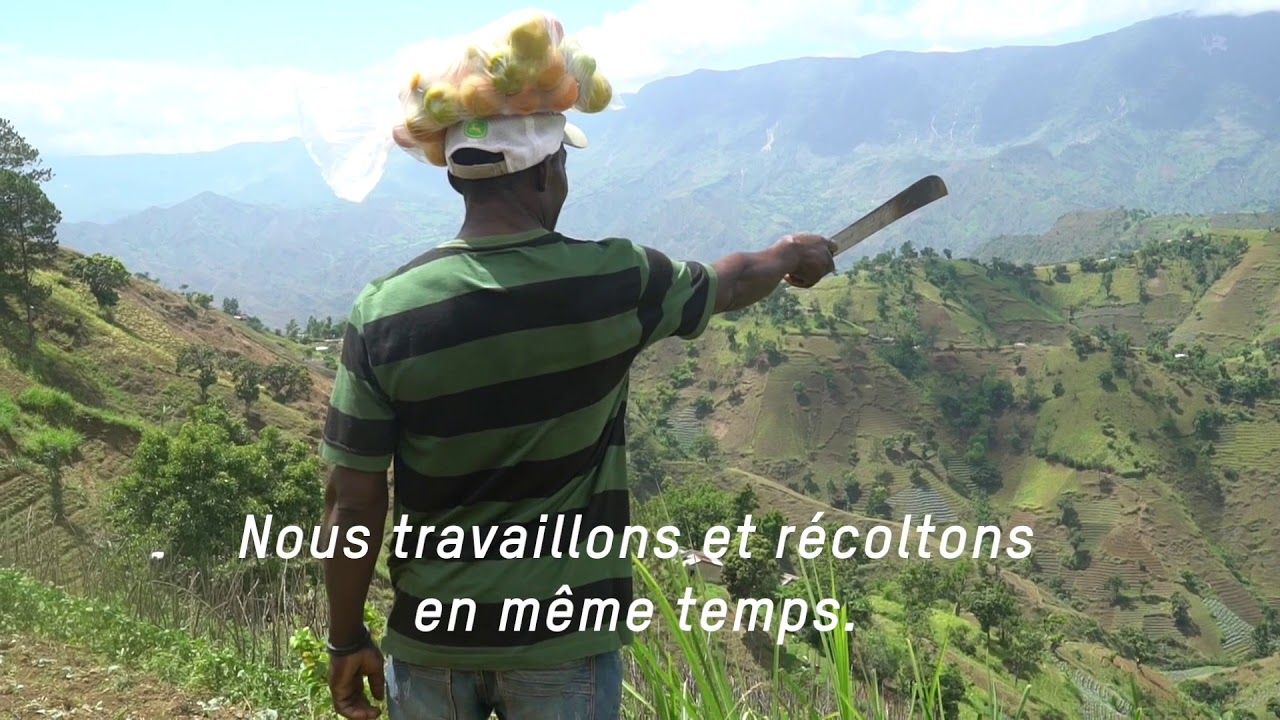 Le futur grâce aux haricots à Kenscoff, Haiti
