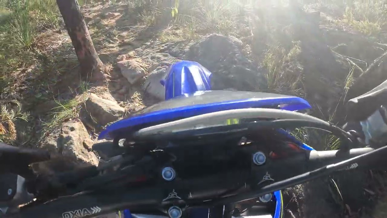 First Bush Ride On My 2025 Sherco SE 300 Factory