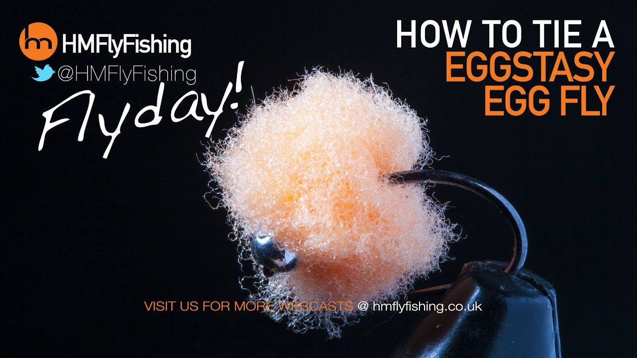 Eggstacy Egg Fly - Flyday