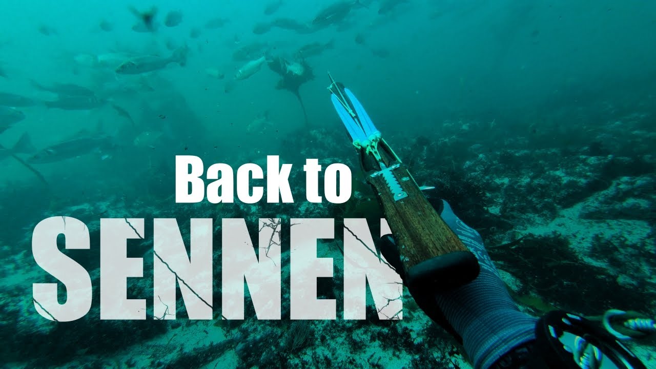 Spearfishing UK, Underwater Exploring & Rock Pooling At Sennen Cove