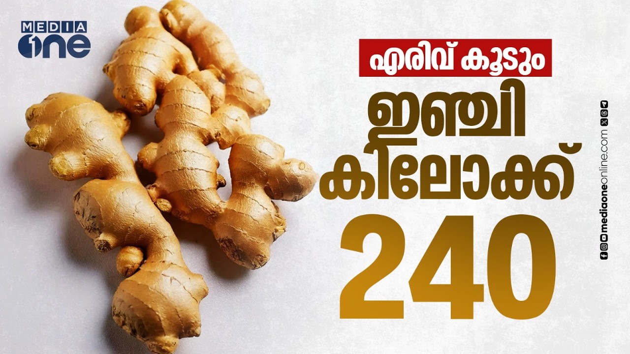 ഇഞ്ചിക്ക് കിലോക്ക് 240, വെളുത്തുള്ളിക്കും മുളകിനും വില കൂടി: വിപണിയിൽ പച്ചക്കറി വില കുതിച്ചുയരുന്നു