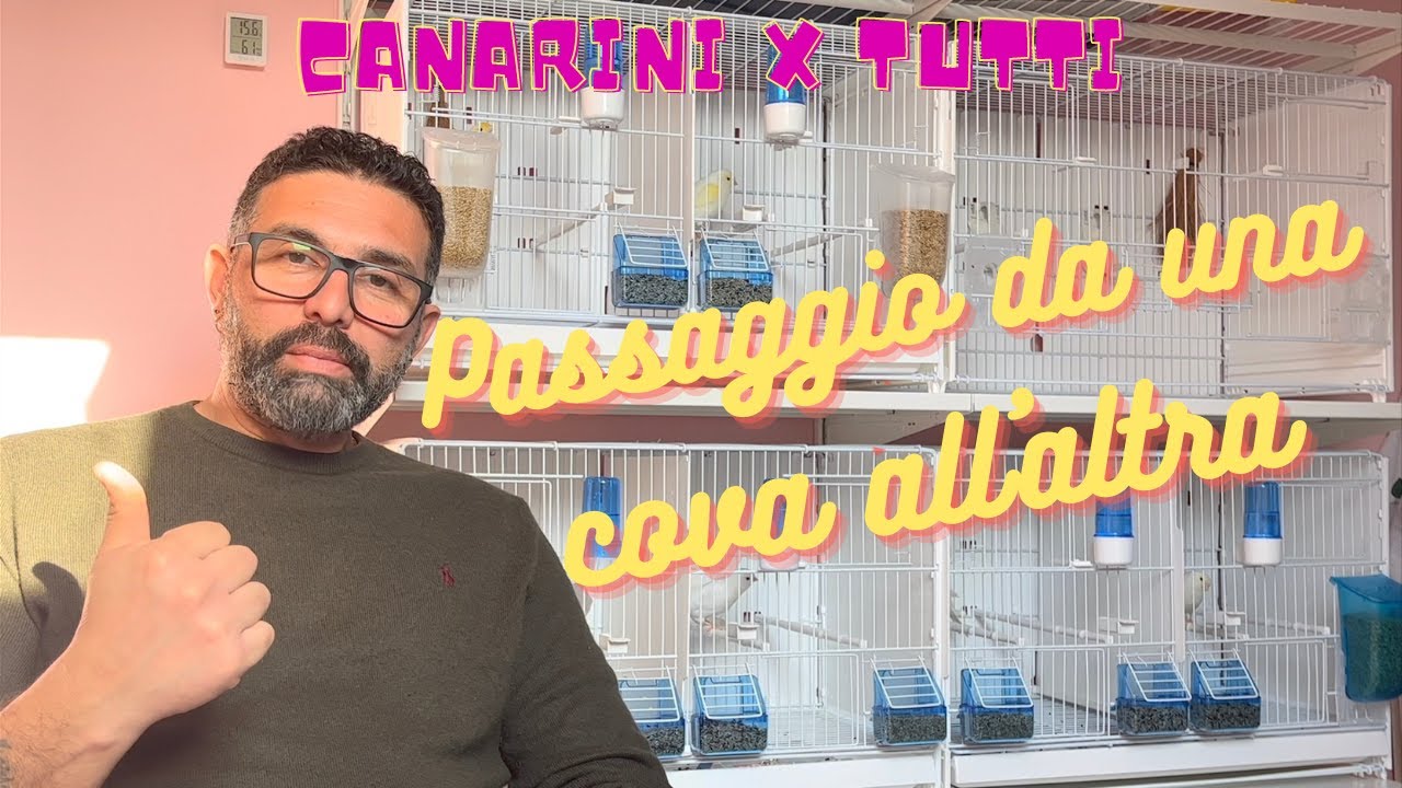 PASSAGGIO DA UNA COVA ALL' ALTRA