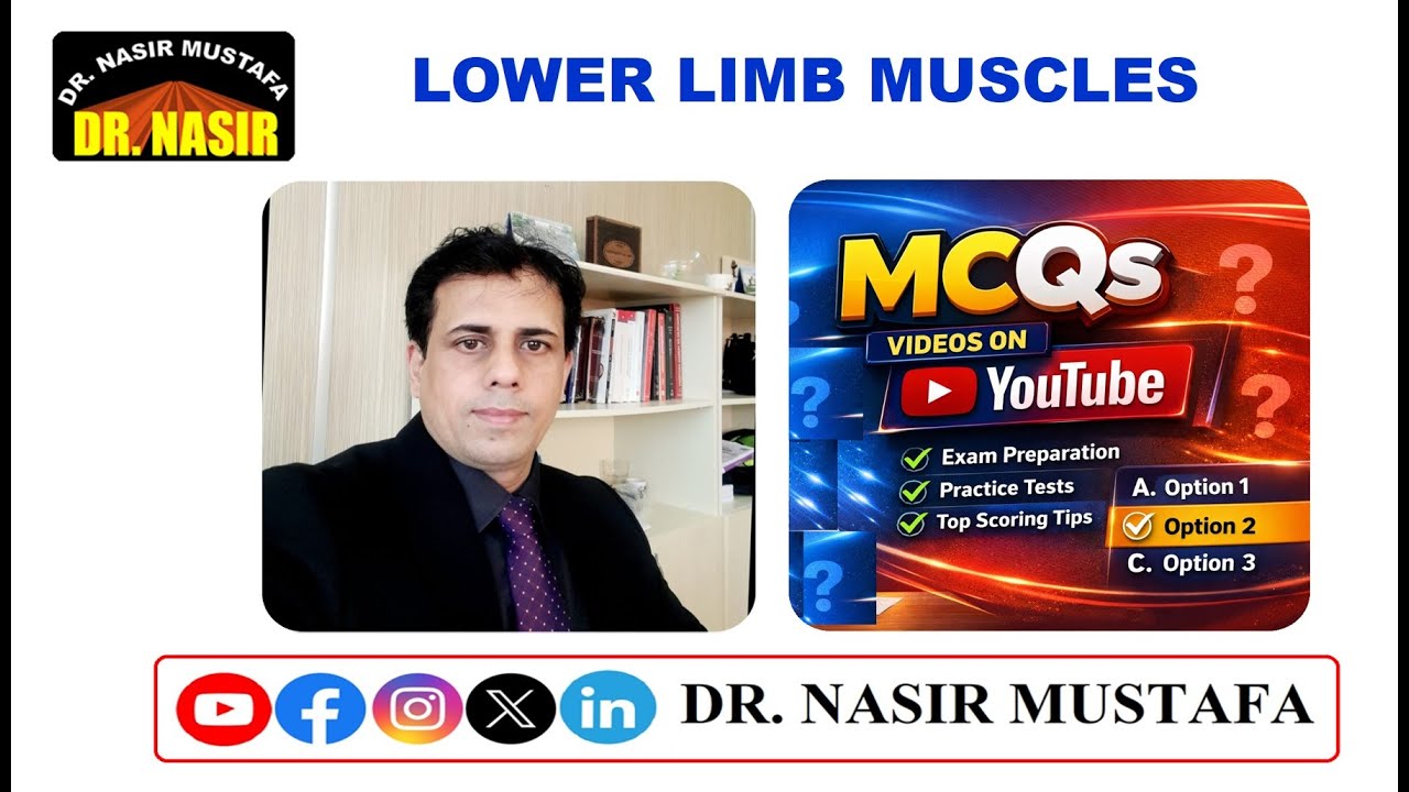 🦵 Mcqs on LOWER LIMB MUSCLES ✨