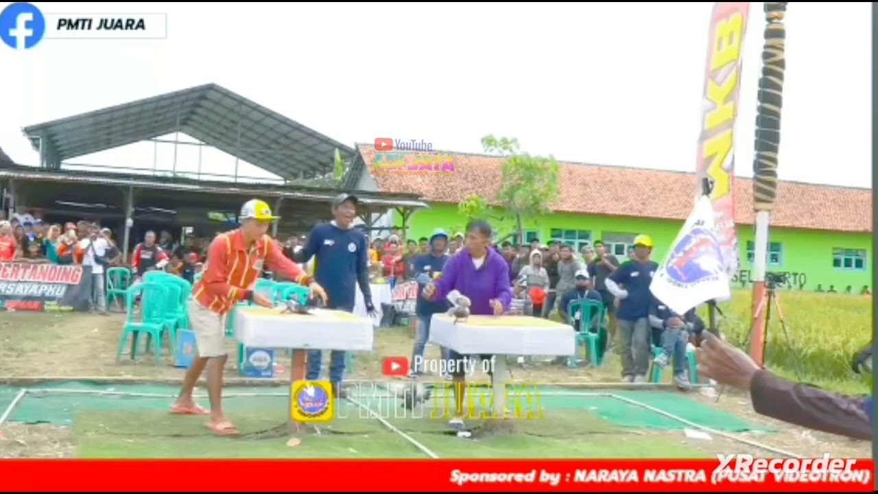 💥 CEO KLIWON TURUN GUNUNG DI LOMNAS KJS BIKIN BAR BAR DUNIA PERSILAT 🔥