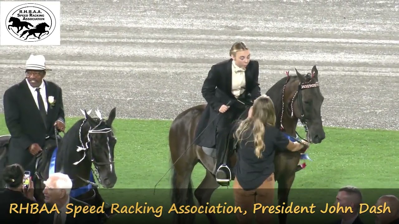 #speedracking Horse, Experience the thrill of the ride with the fastest racking horses #rhbaa