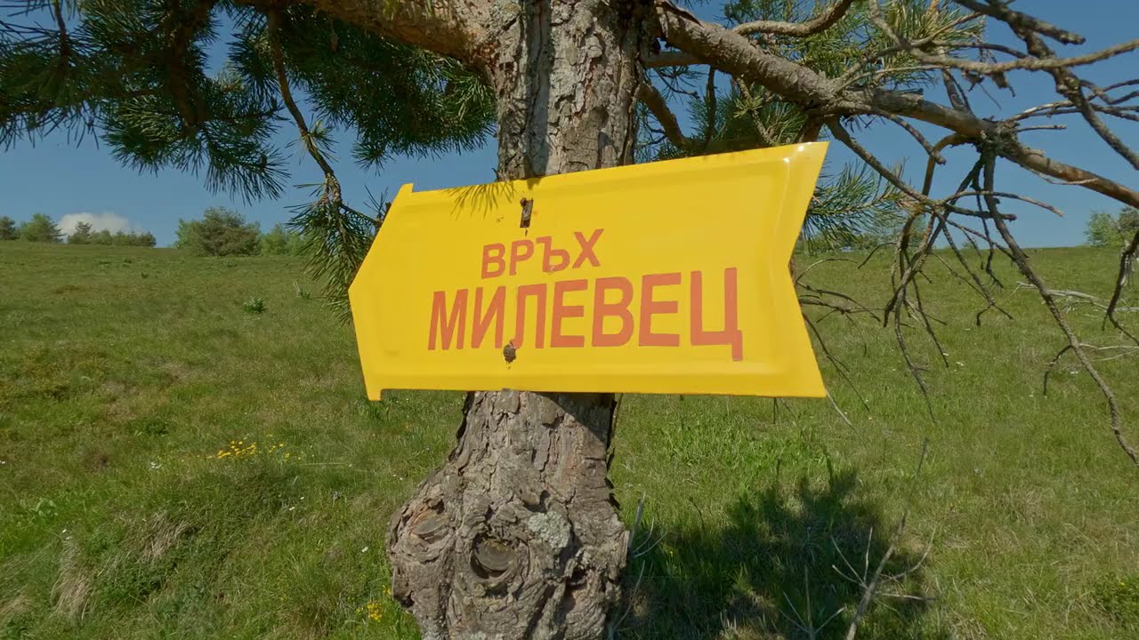 Милевска планина - връх Милевец/Самовилняк (1736 м.)