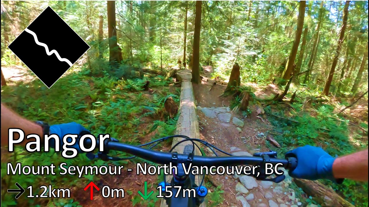 Pangor - Mount Seymour - North Vancouver, BC