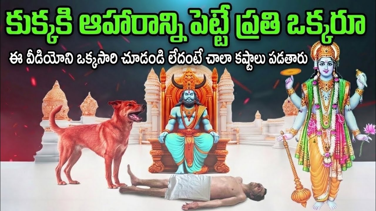 కుక్కలకు ఆహారం పెట్టే వారికి తెలుసుకోవాల్సిన ముఖ్యమైన విషయాలు | ధర్మం, కరుణ & ఆధ్యాత్మిక ప్రయోజనాలు