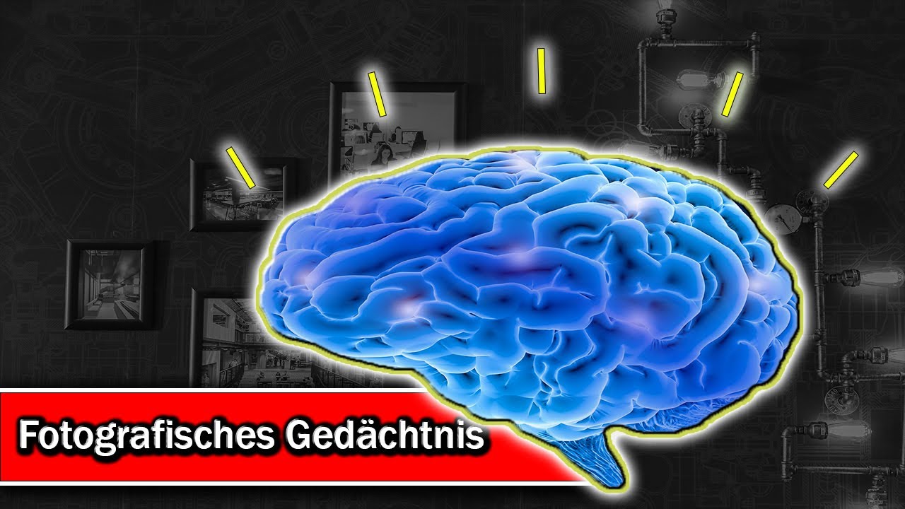 Fotografisches Ged&auml;chtnis in einer Minute
