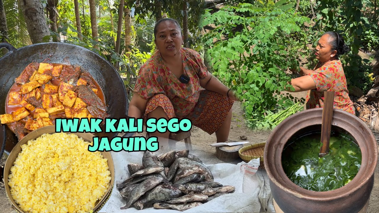 IWAK KALI SEGO JAGUNG || BORONG IWAK KALI ⁉️