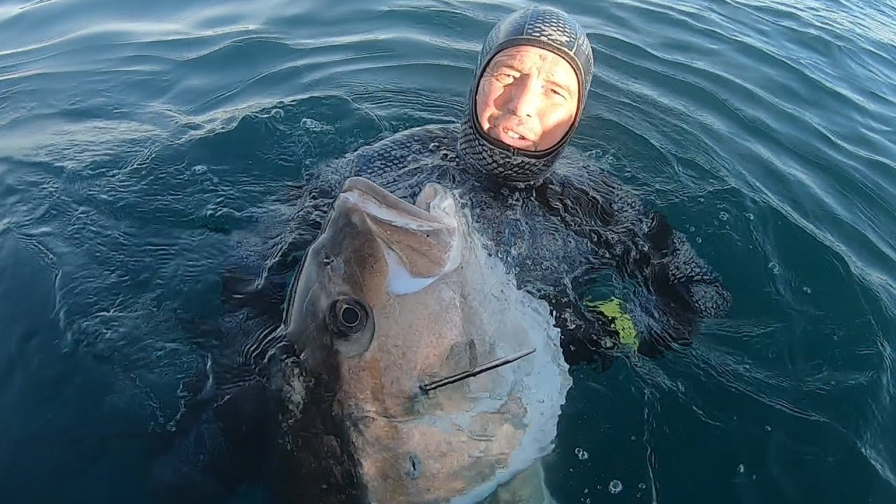 Serviola de 47,5 kg y urta de 7 kg de Jesus Jimenez del equipo de Fusiles Orca Polosub y Carbonio Gf