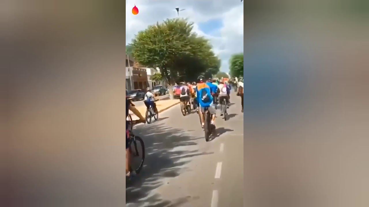 🔥VIGO VIDEO BRASIL🔥TENTE NAO RIR PART 3 .ANIMAL🐶😂😂😂😂