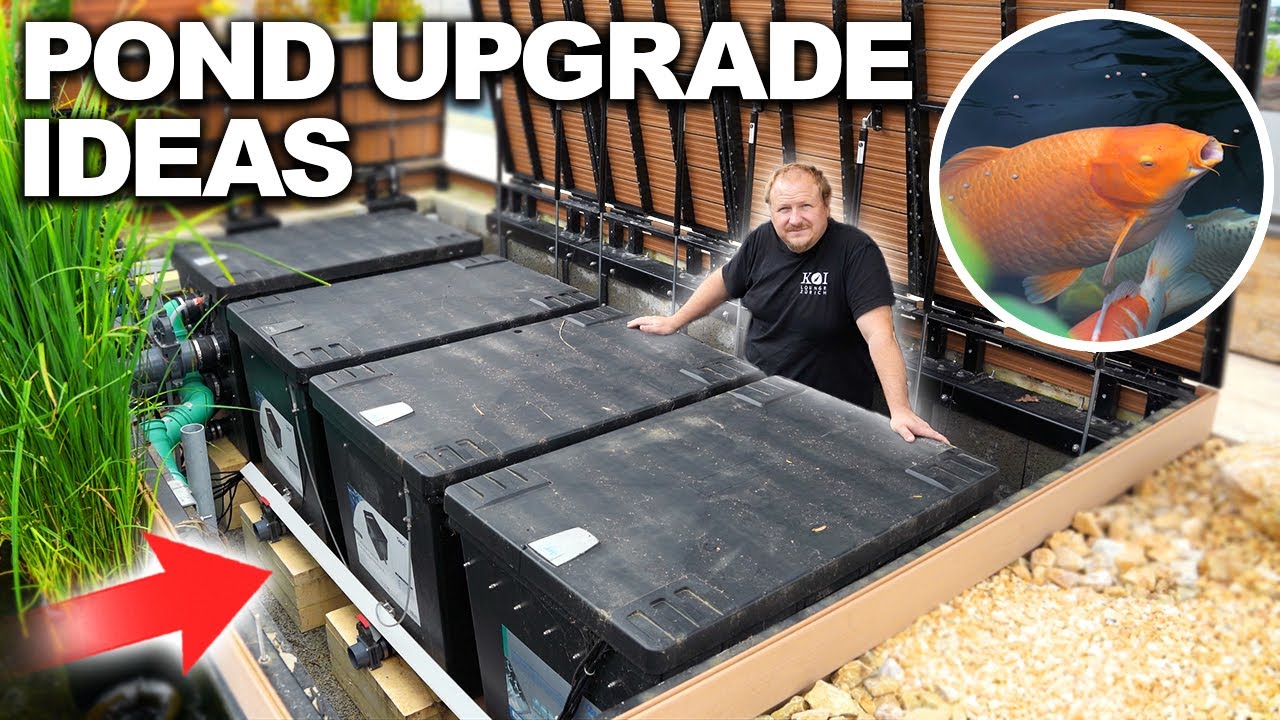 Next-Level Koi Pond Design & Filtration | Backyard Home Improvement Project