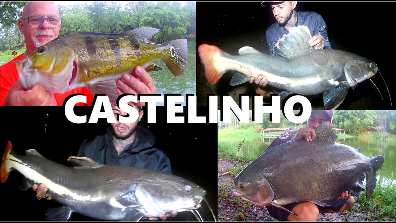 A tranquilidade das pescarias no CASTELINHO em S&atilde;o Pedro SP (FISHINGTUR # 874)