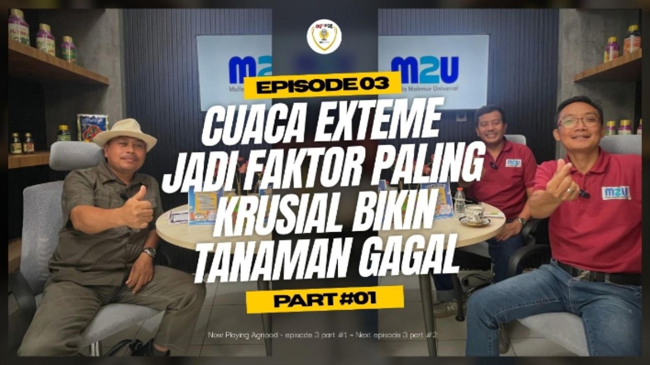 #01 AGRIPOD Episode 03 I Cuaca Exteme Jadi Faktor Paling Krusial Bikin Tanaman Gagal