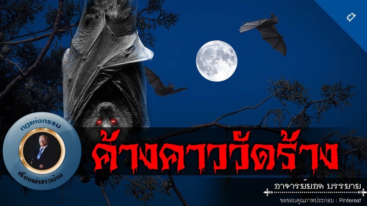 อาจารย์ยอด : ค้างคาววัดร้าง [ผี] new