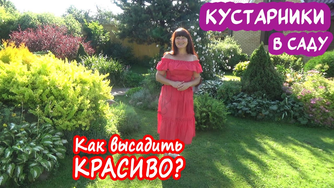 КОМПОЗИЦИИ из КУСТАРНИКОВ и ХВОЙНЫХ РАСТЕНИЙ. Лучшие кустарники и их сочетания для цветников!