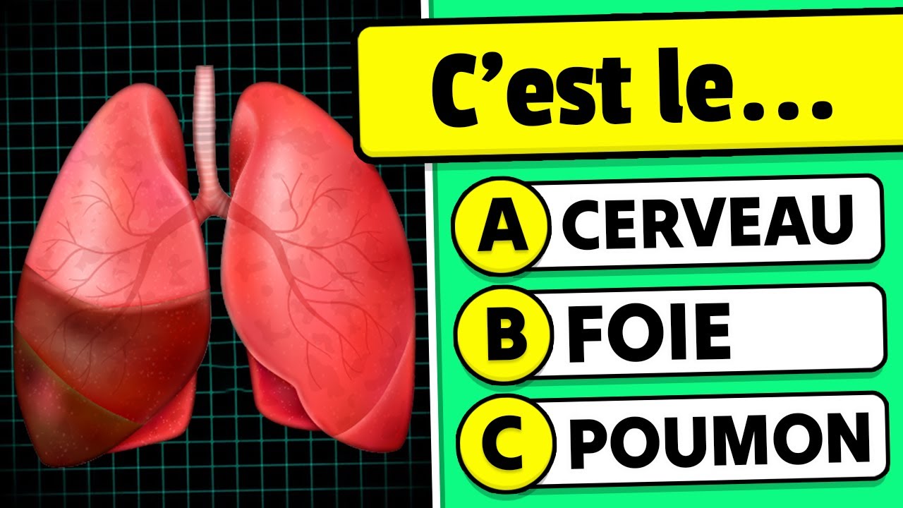 🧠 Combien de parties du corps humain connais-tu ? 🦵🦴✅ | Quiz de Culture Générale