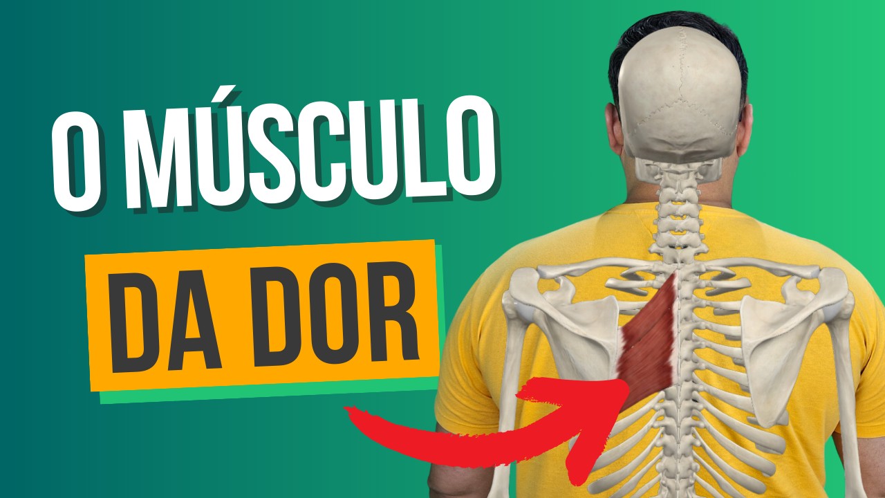 COMO ACABAR COM O MÚSCULO DA DOR - Romboide